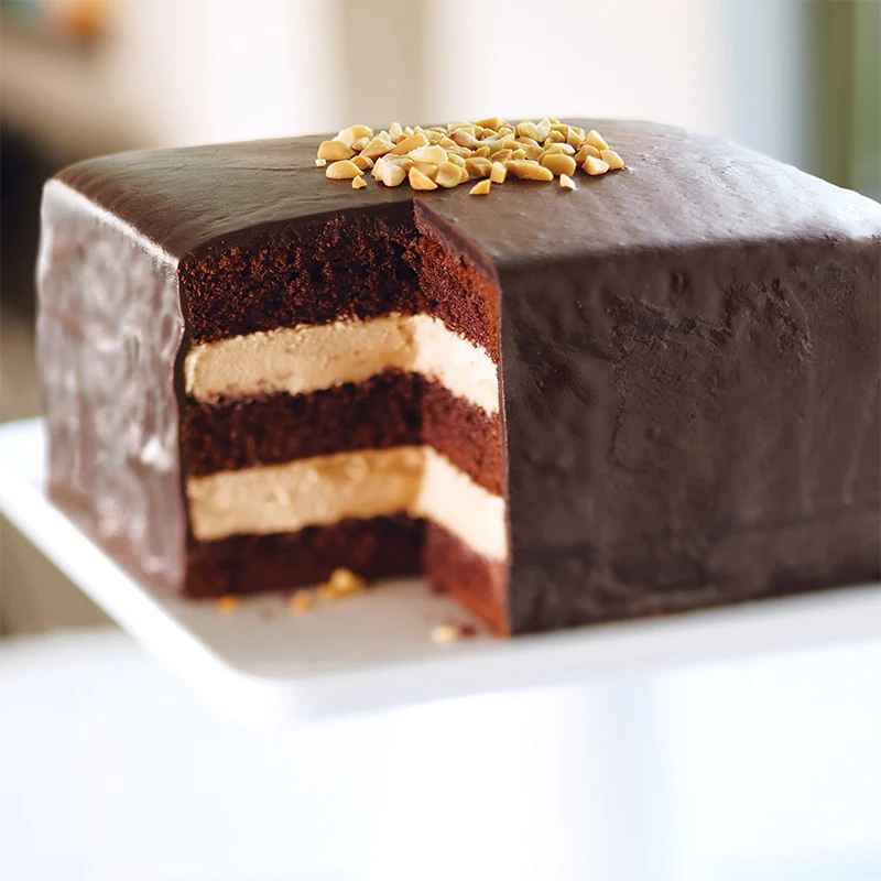 gâteau au chocolat préparé dans moule a manqué