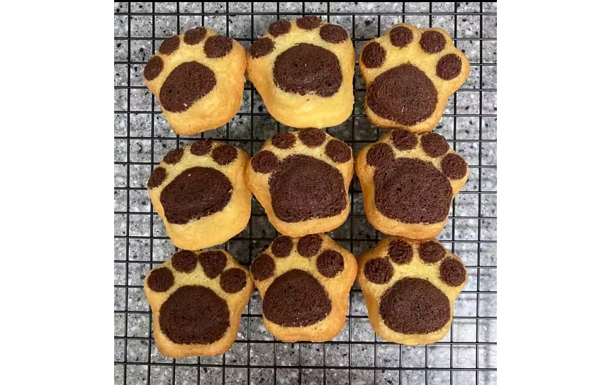 madeleine chocolaté avec moule a madeleine